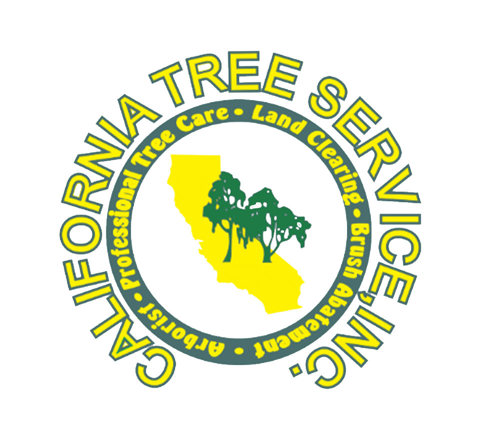 Cal Tree Service
